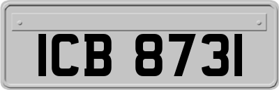 ICB8731