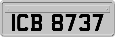 ICB8737