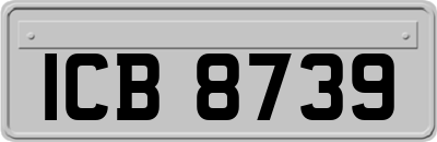 ICB8739