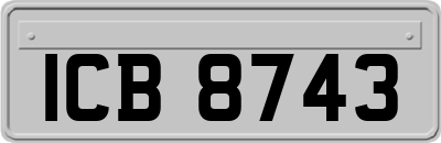 ICB8743
