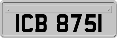 ICB8751