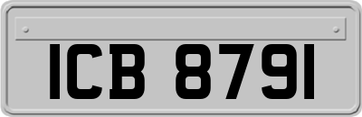 ICB8791