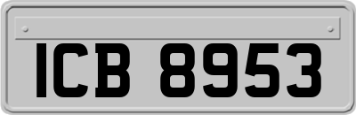 ICB8953