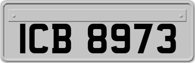 ICB8973