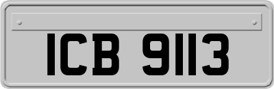 ICB9113