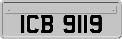 ICB9119