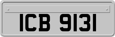 ICB9131