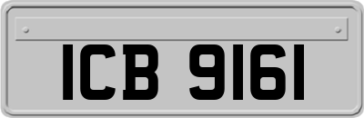 ICB9161