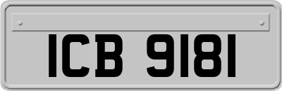 ICB9181