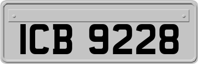ICB9228