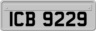 ICB9229