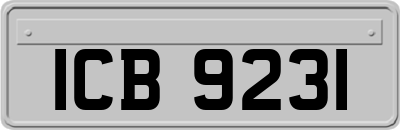 ICB9231