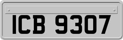 ICB9307