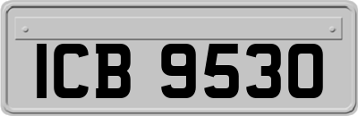 ICB9530