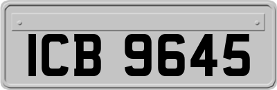 ICB9645