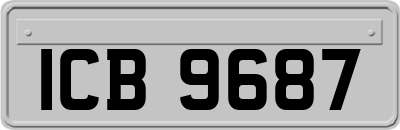 ICB9687