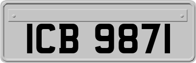 ICB9871