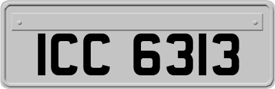 ICC6313