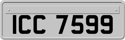 ICC7599