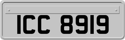 ICC8919