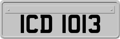 ICD1013