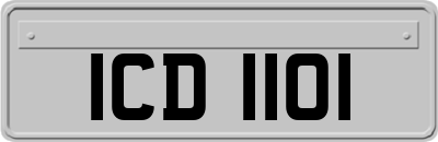 ICD1101