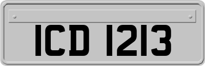 ICD1213