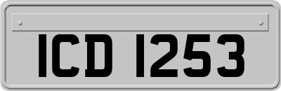 ICD1253