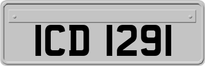 ICD1291