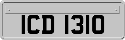 ICD1310