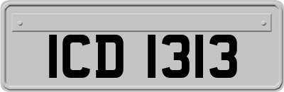 ICD1313