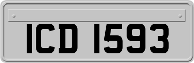 ICD1593