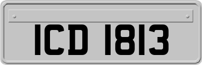 ICD1813
