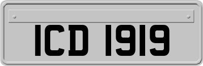 ICD1919