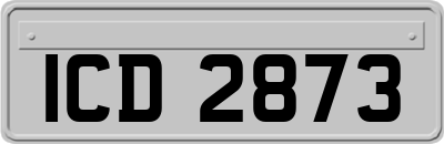 ICD2873