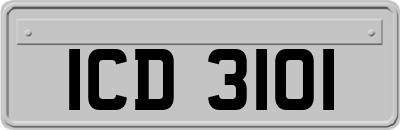 ICD3101