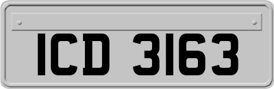 ICD3163