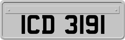 ICD3191
