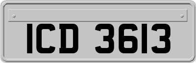 ICD3613