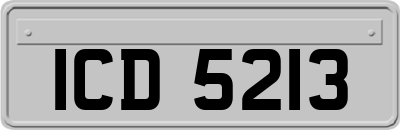 ICD5213