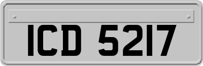ICD5217