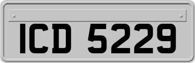ICD5229