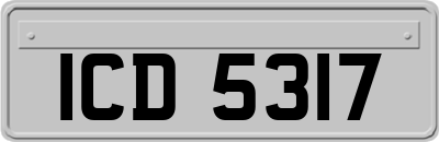 ICD5317