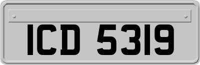 ICD5319