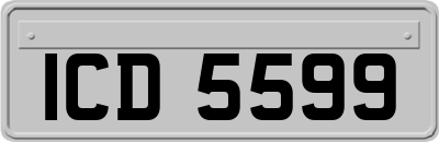 ICD5599