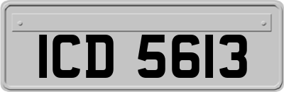ICD5613