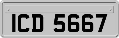 ICD5667