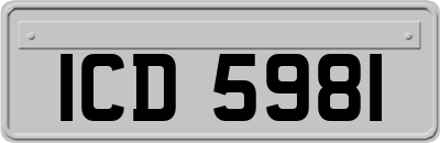 ICD5981