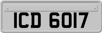 ICD6017