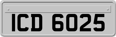 ICD6025